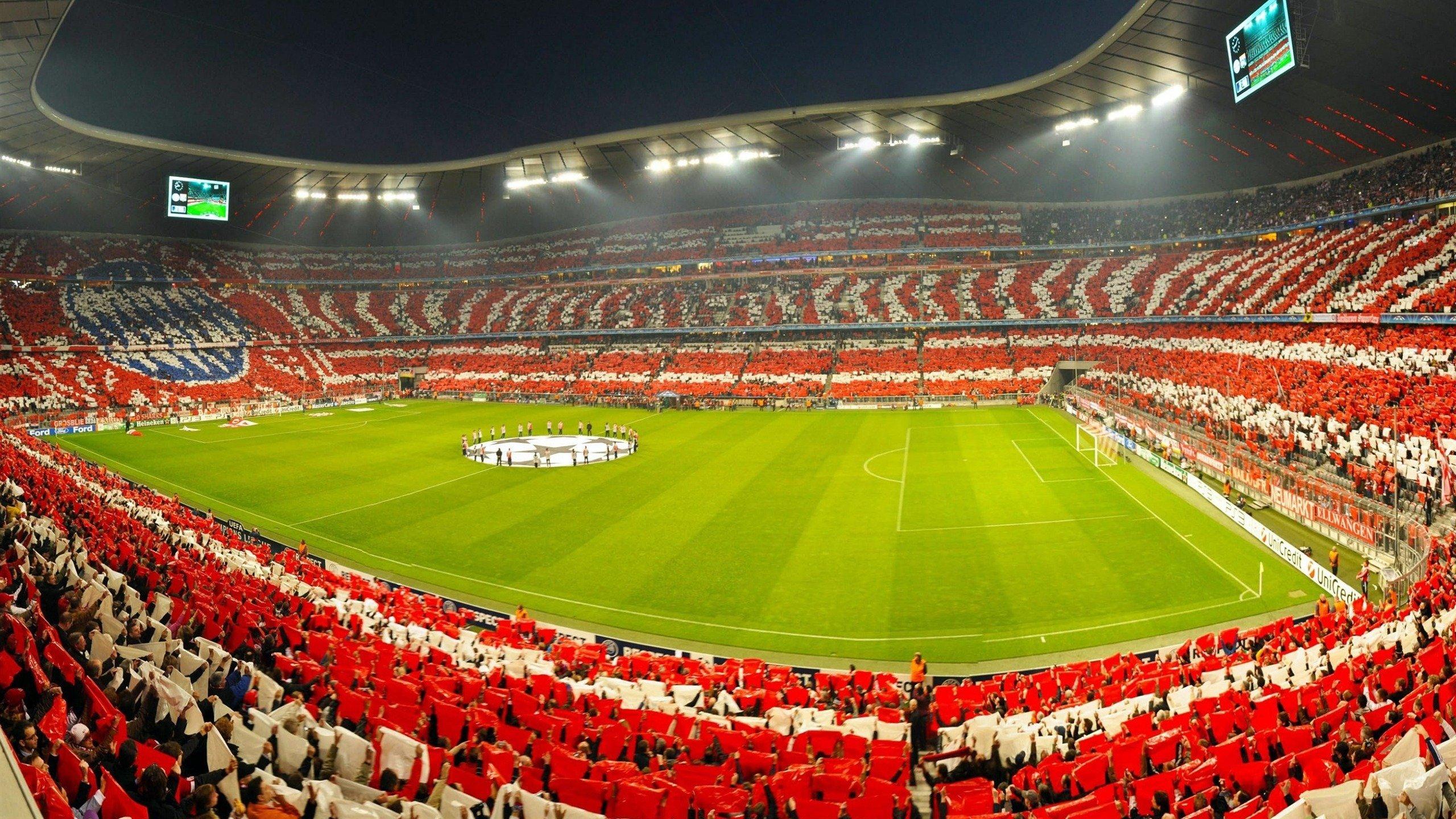 中国新星张伟强KO卫冕冠军,亚洲格斗赛事再掀狂潮