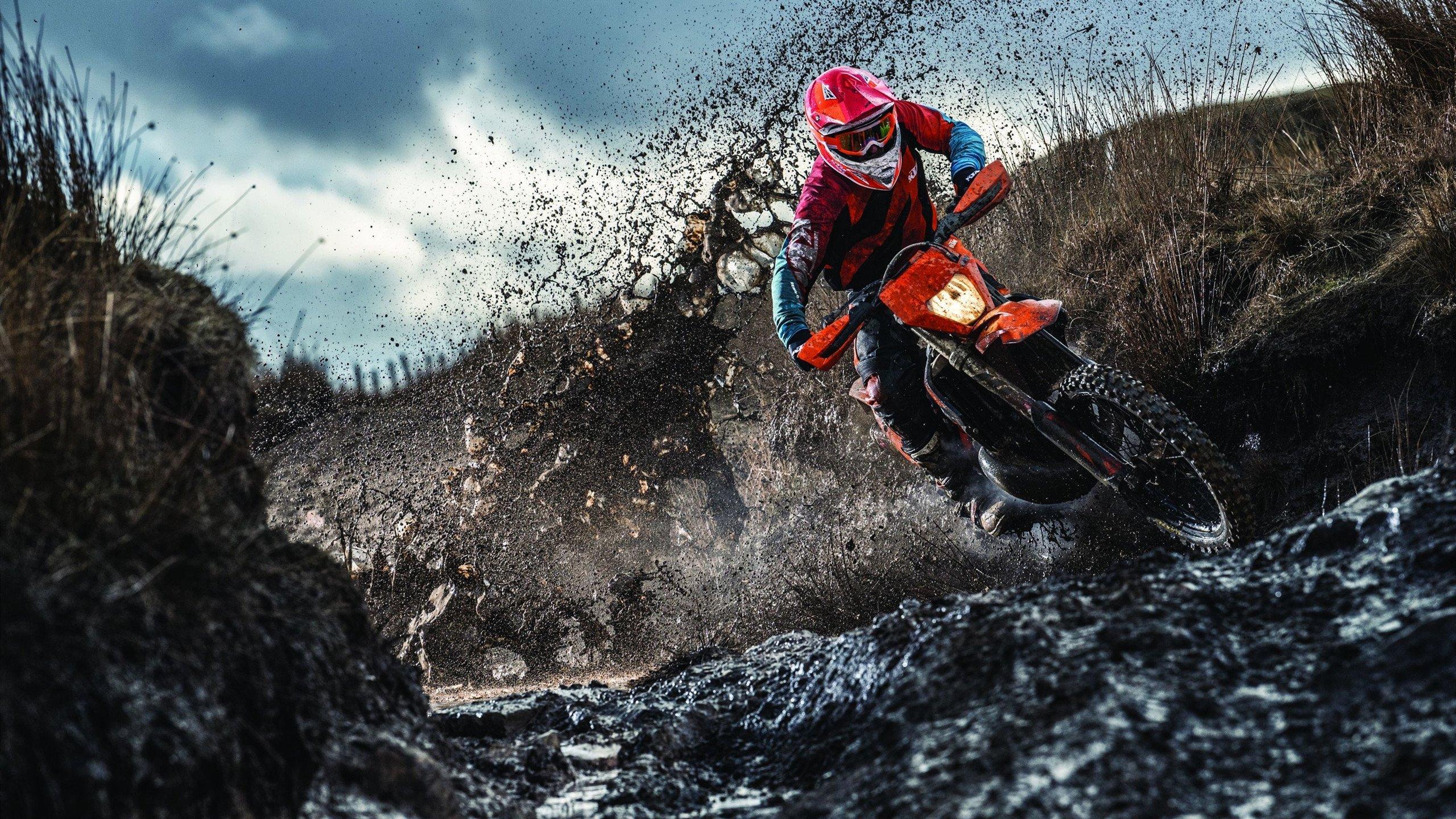 阿尔卡拉斯强势夺冠，新生代天王闪耀美网！